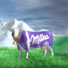 wmilka150305[1].jpg
