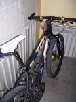 000_0891.jpg