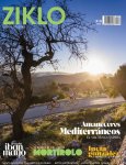 portada 33.jpg