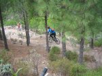 IMG_1231.JPG