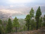 IMG_0837.jpg