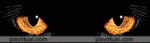 ojos_8977.gif