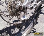 derailleur_guard.jpg