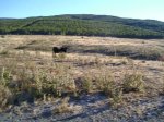 PIC_0108.jpg
