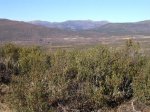 pic_0118.jpg