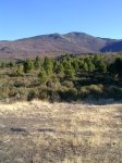 PIC_0119.JPG