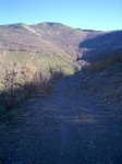 PIC_0123.JPG