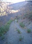 PIC_0124.JPG