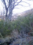 PIC_0125.JPG