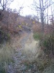 PIC_0128.JPG