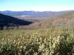 PIC_0129.JPG