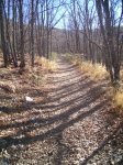PIC_0134.JPG