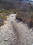 PIC_0152.JPG
