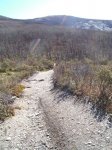 PIC_0153.JPG