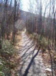 PIC_0154.JPG