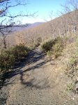 PIC_0155.JPG