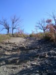 PIC_0157.JPG