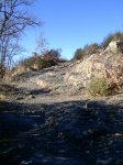 PIC_0165.JPG