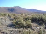 PIC_0168.JPG