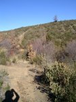 PIC_0191.JPG