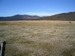 PIC_0192.JPG