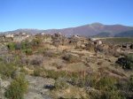 PIC_0196.JPG