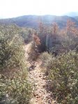 PIC_0198.JPG