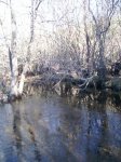 PIC_0209.JPG