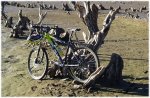 bike.jpeg
