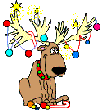 n_ren.gif