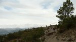 P1030648+ (Large).JPG