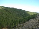 DSC03290_resize.JPG