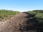 IMG_2857.JPG