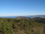 IMG_2865.JPG