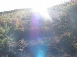 IMG_2883.JPG