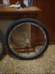 IMG_20210226_081950.jpg