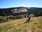 Ibis_Crested Butte_1.jpg
