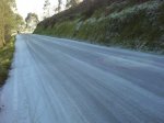 DSC00339.jpg