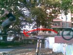 pbpic1625476.jpg