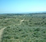 sabado 15-12-07 003.jpg