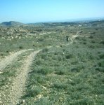 sabado 15-12-07 005.jpg