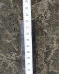 55r-05.jpg