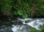 Img_3842.jpg