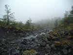 Img_3858.jpg