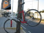 Spec Allez.JPG