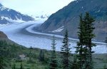 salmon-glacier_5781.jpg