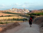 camino-santiago-vista-cirauqui.jpg