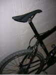 DSCN0481_1000.jpg