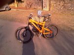 IMAG0021.jpg