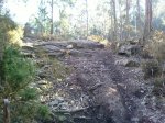 IMAGE_00202.jpg